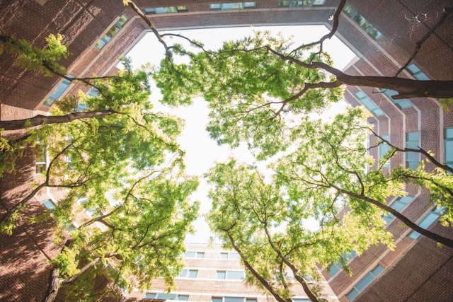 How to Identify Environmental Aspects and Impacts